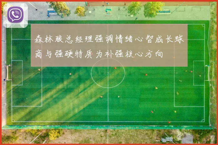 森林狼总经理强调情绪心智成长球商与强硬特质为补强核心方向