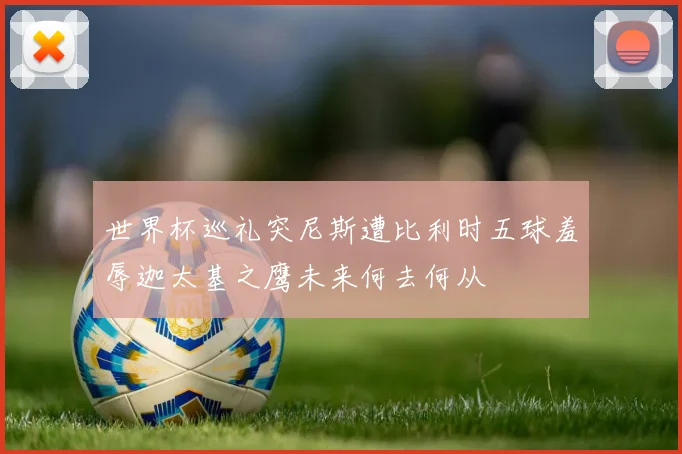 世界杯巡礼突尼斯遭比利时五球羞辱迦太基之鹰未来何去何从