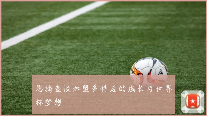 恩梅查谈加盟多特后的成长与世界杯梦想